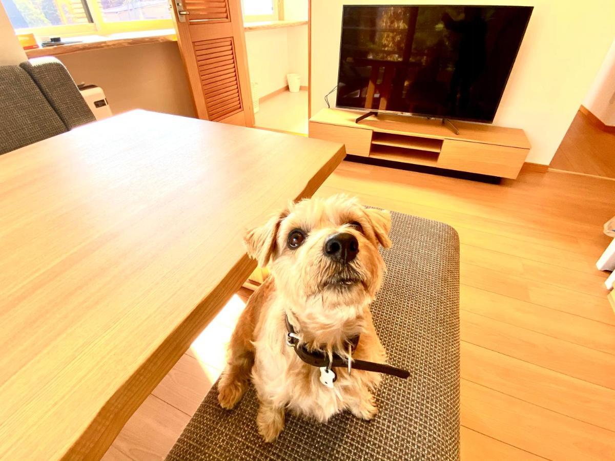 白馬パウダーマウンテン Hotell Hakuba Eksteriør bilde