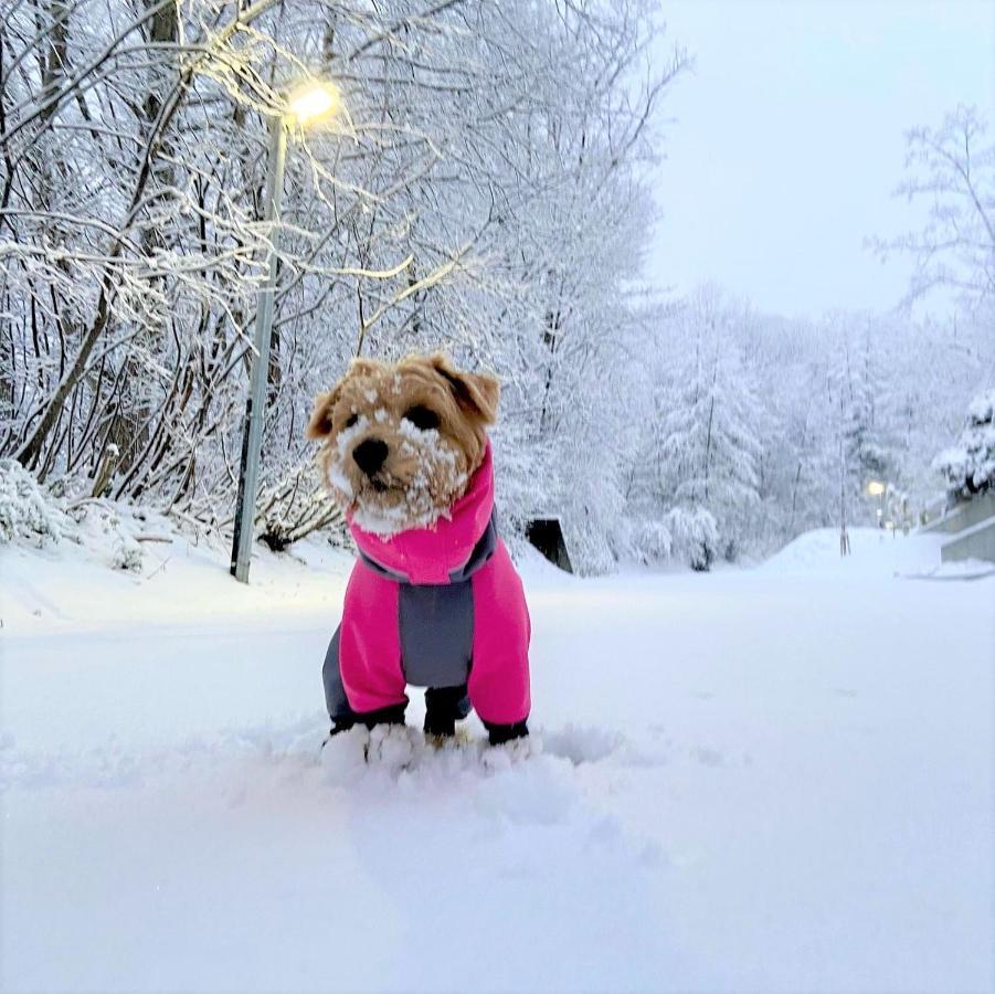 白馬パウダーマウンテン Hotell Hakuba Eksteriør bilde