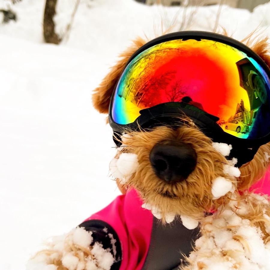 白馬パウダーマウンテン Hotell Hakuba Eksteriør bilde