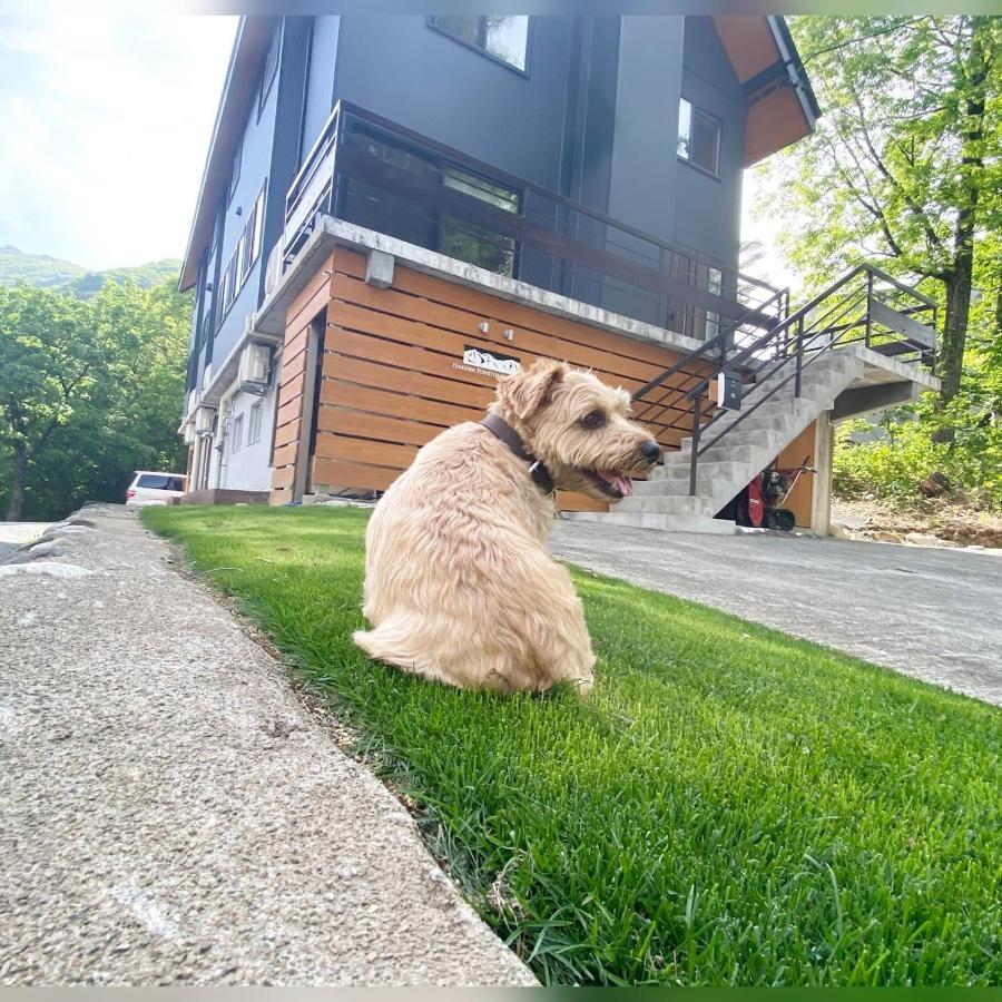 白馬パウダーマウンテン Hotell Hakuba Eksteriør bilde
