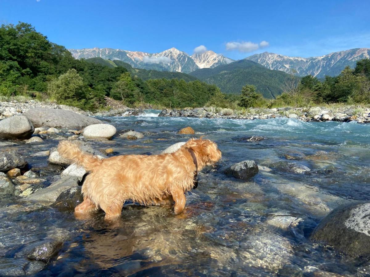 白馬パウダーマウンテン Hotell Hakuba Eksteriør bilde