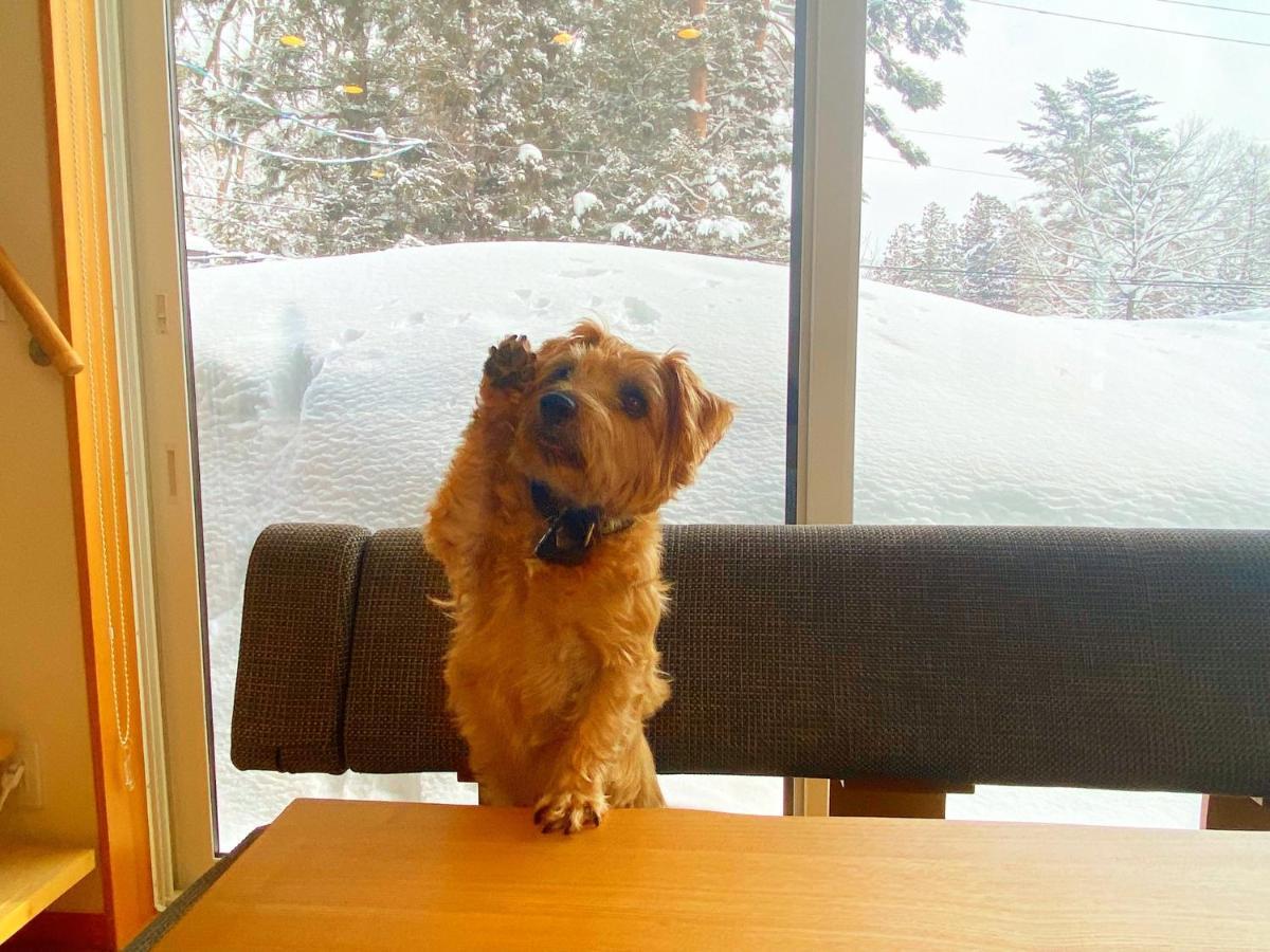 白馬パウダーマウンテン Hotell Hakuba Eksteriør bilde